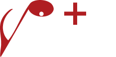Voice+ Logo
